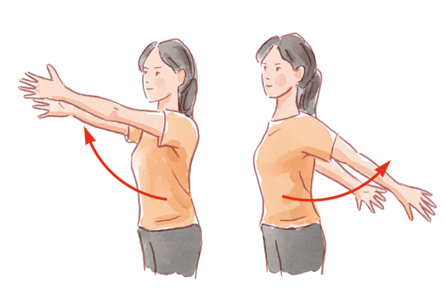 腕の運動：腕の上げ下げ